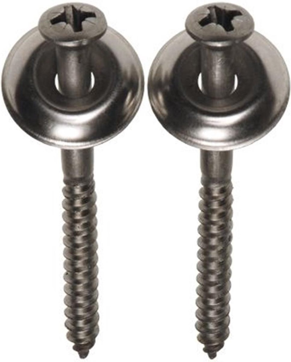 Asf Schroef Rvs 70Mm+Plug+Krlring 2/Set