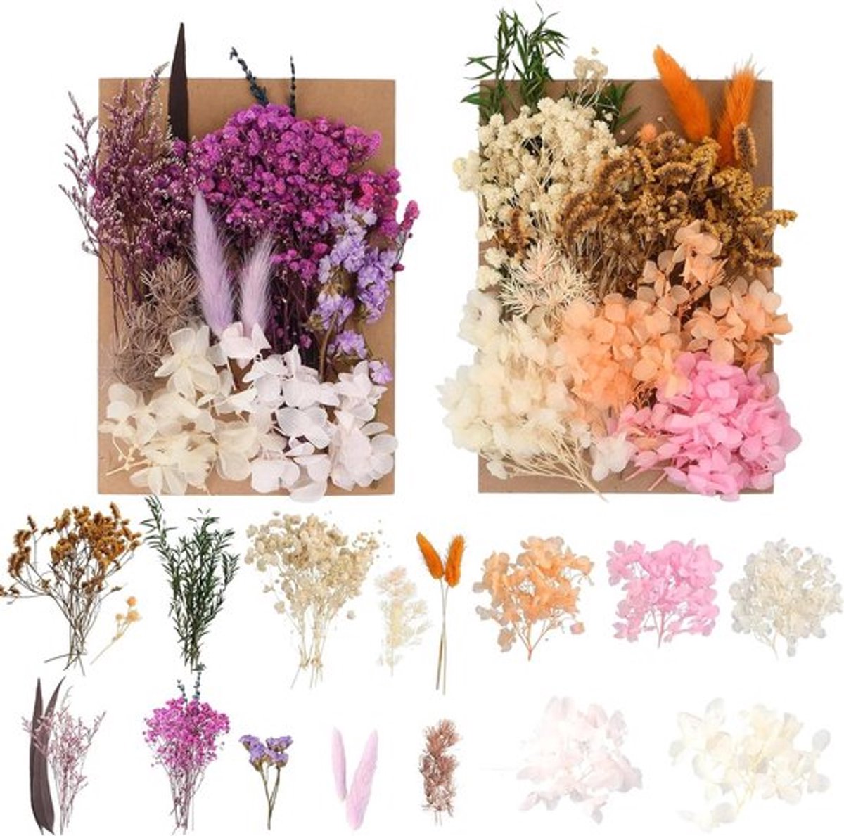 Gedroogde bloemen Allecto Plus voor hars en scrapbooking