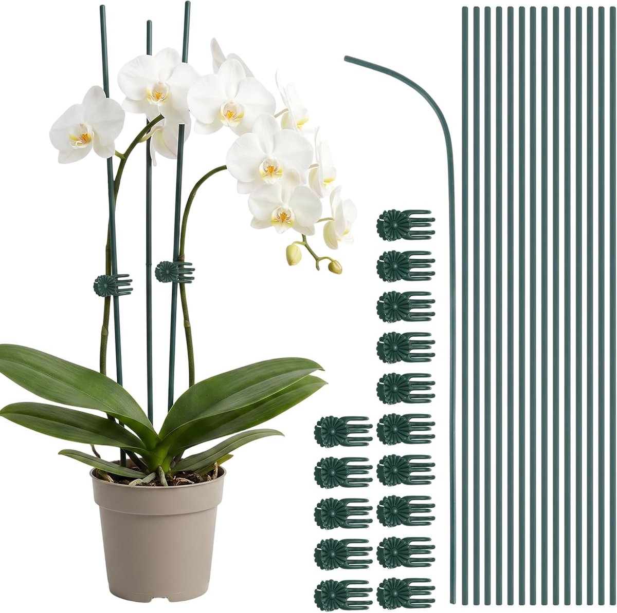 Orchidee steunen set van 30 - 30cm buigzame ijzeren steunstokken - met clips voor stevige ondersteuning - SnelShoppen