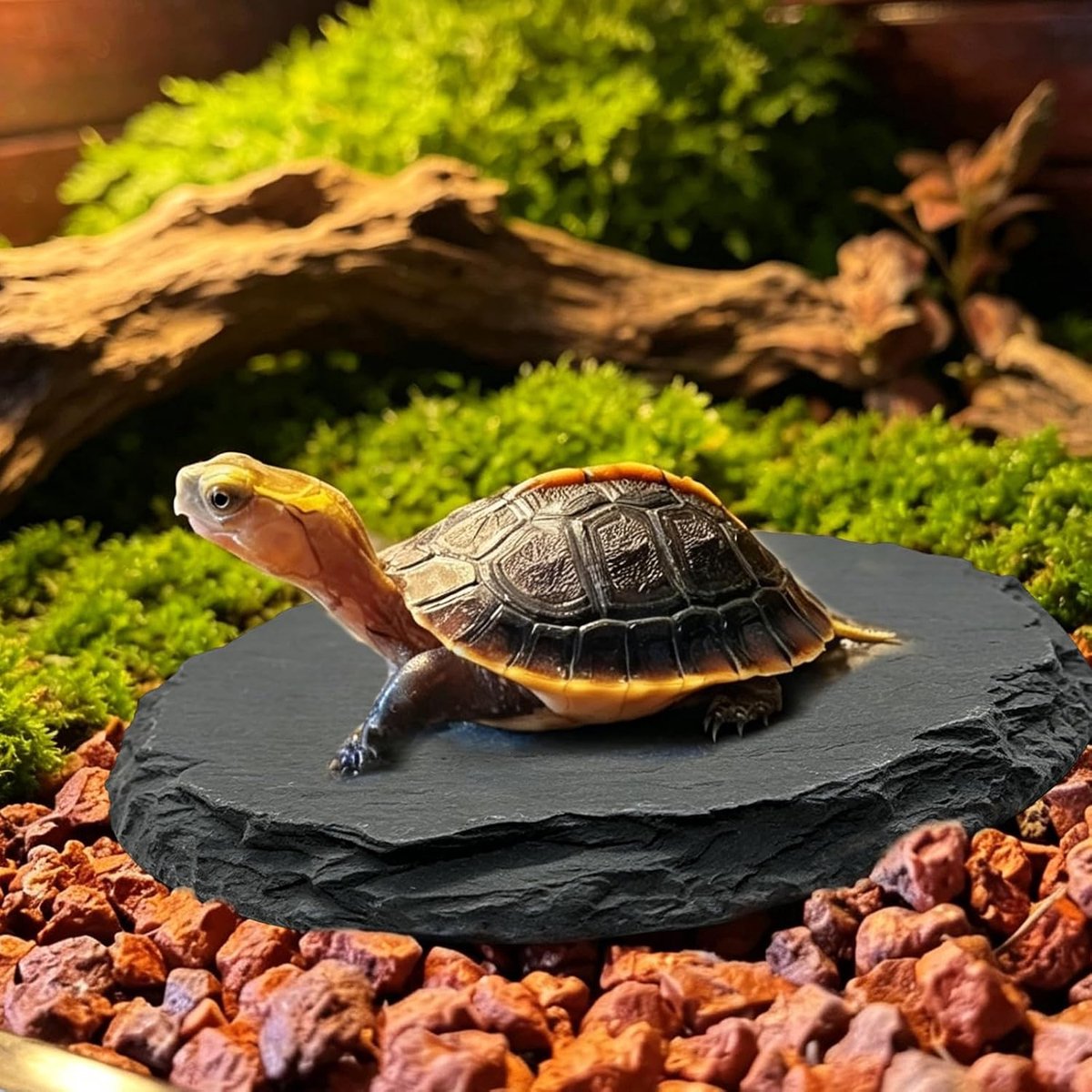 3 stuks reptielen zonneplaats 15cm: natuurlijke leisteen zonneplatform, handgemaakte schildpadden, zonneterras, terrariumdecoratie, voor reptielen en amfibieën