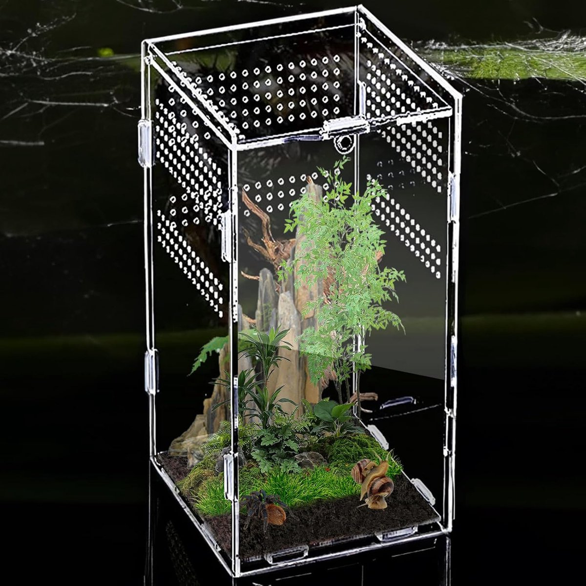 360 ° acryl terrarium slakken terrarium: Nizirioo 12 x 12 x 20 cm reptielen voederbox, mini transparant acryl terrarium, mini terrarium voor spin, schorpioen, bidsprinkhaan, reptielen leefruimte