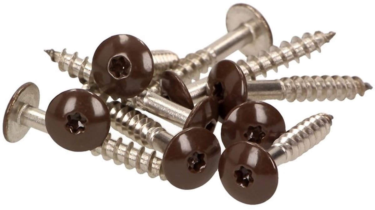 wandschroeven 4,8 x 25 mm - V2A roestvrij staal - met platte kop - ideaal voor solide platen - ShopVlot