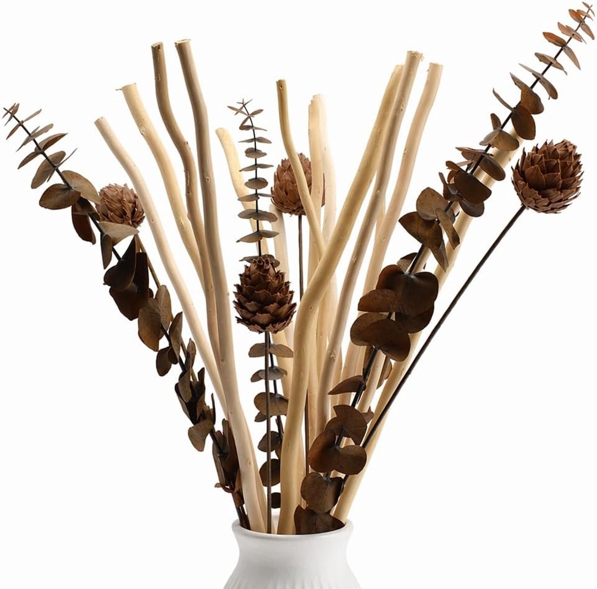 Gedroogde wilgentakken, decoratie, boeket gedroogde bloemen, eucalyptus en dennenappels, plant, decoratie voor rustiek, boho, tafel, huis, woonkamer, bruiloft