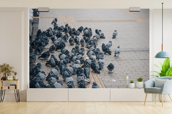Behang - Fotobehang Een grote groep duiven op straat - Breedte 450 cm x hoogte 300 cm