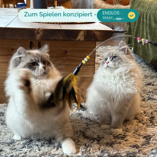 Kattenspeelgoed veer kat speelgoed veer toverstaf kat huisdier speelgoed draad jager staf teaser veer met bel, kattenspeelgoed voor binnen katten kitten interactieve training (6 stuks) — afbeelding 2