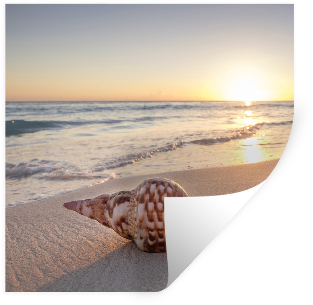 Muurstickers - Sticker Folie - Schelp - Strand - Lucht - 50x50 cm - Plakfolie - Muursticke
