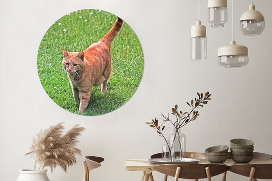 WallCircle - Cercle mural - Cercle mural - Chat - Rouge - Tomcat - Filles - Enfants - Garçons - Enfant - Aluminium - Dibond - 140x140 cm - Intérieur et Extérieur
