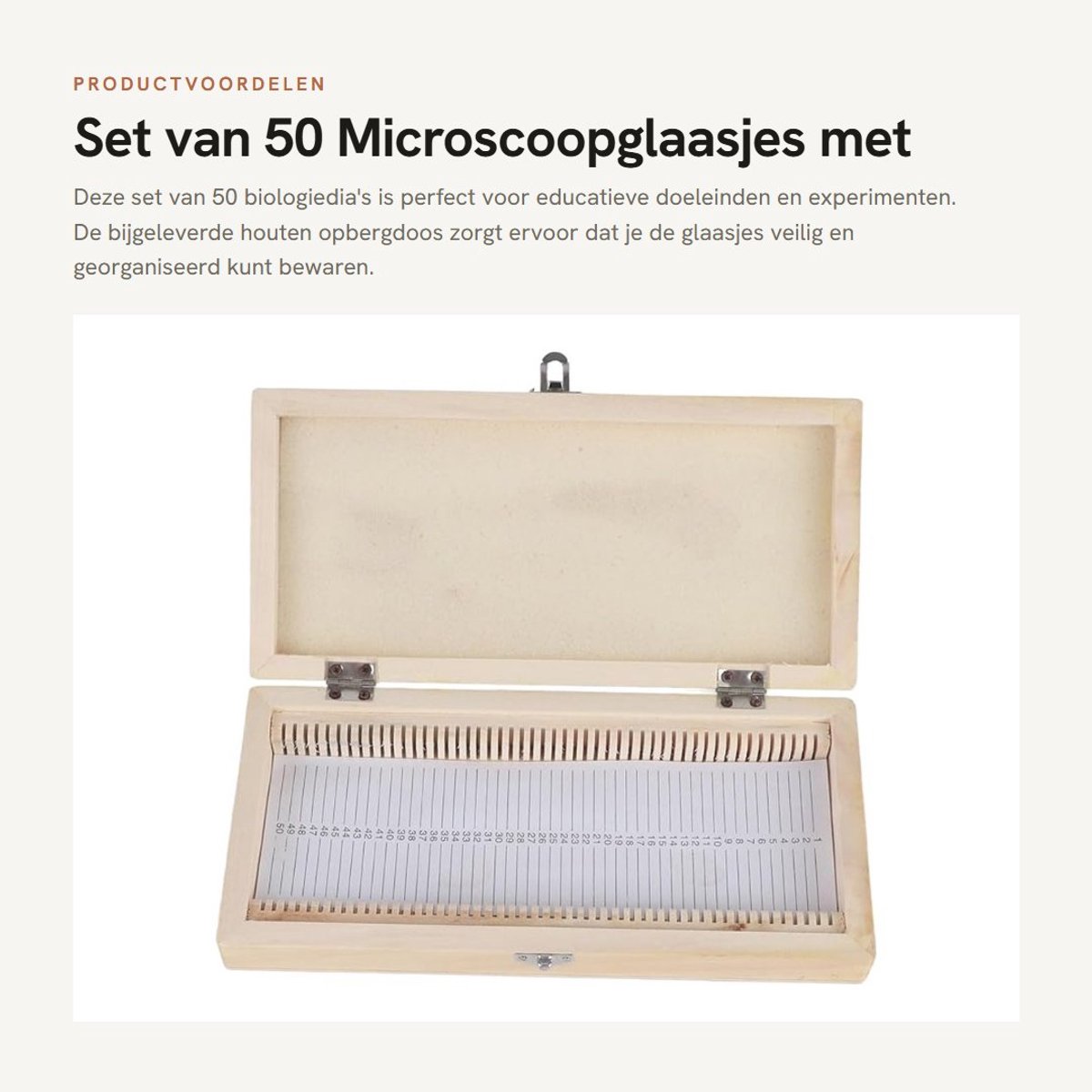 Dailygoods- Microscoopglaasjes 50 Stuks - Houten Opbergdoos - Biologiedia's - Ruimtebesparend Ontwerp - Voor Onderwijs - Afmetingen 23 × 10,6 × 3,5 cm