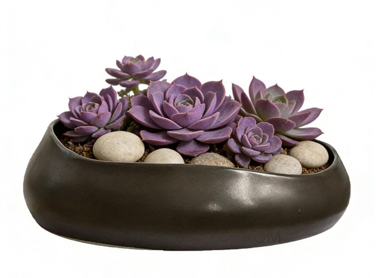 plantenbak, 21 cm keramische vetplantenbak, met drainagegaten, geschikt voor binnen- en buitenplanten, tuindecoratie en bloemplantencontainers (zwart).