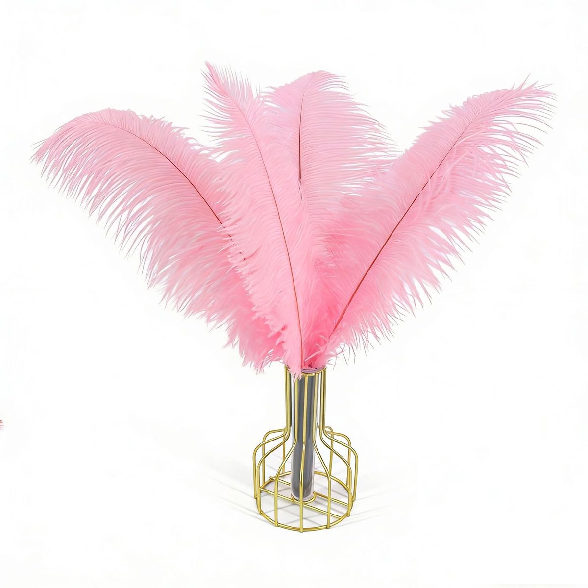 Omgoods - Set van 10 Natuurlijke Struisvogelveren voor Decoratie