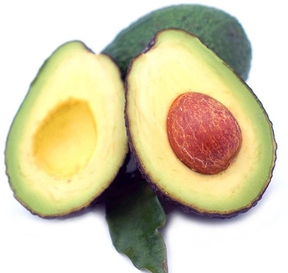 Elzusha - 10 Zaden van Avocado voor Tuin en Huis