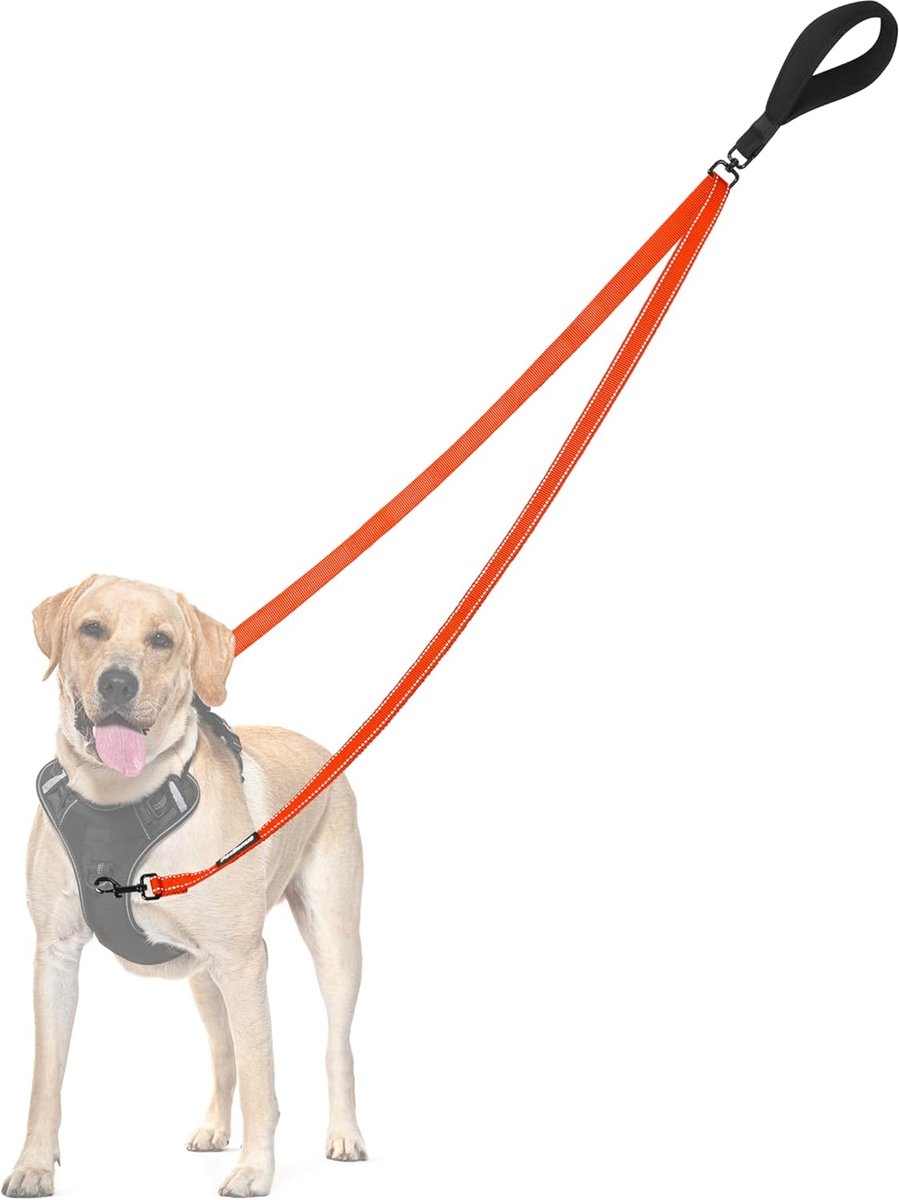 SnelShoppen - No Pull Hondenriem, Dubbele Leash voor Anti-Pull Harnas, Reflecterende Leash voor Training en Wandelen, Geschikt voor Grote en Middelgro