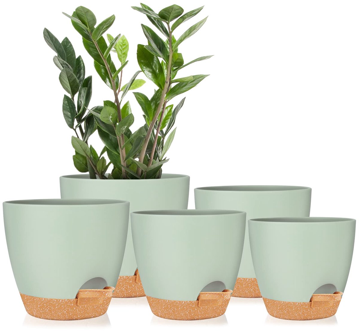 SnelShoppen - Zelfbewaterende Plantenpotten 7/6,5/6/5,5/5 inch - Plastic Bloempotten met Afvoergat voor Kamerplanten, Vetplanten, Slangenplant en Afri