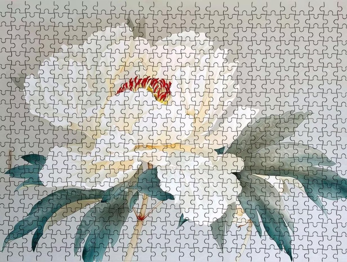 Legpuzzel 3000 Stukjes - Volwassen Puzzel Spel - Ontspannen Thuis - Houten Puzzelstukken - 81x122cm - Bloemenprint