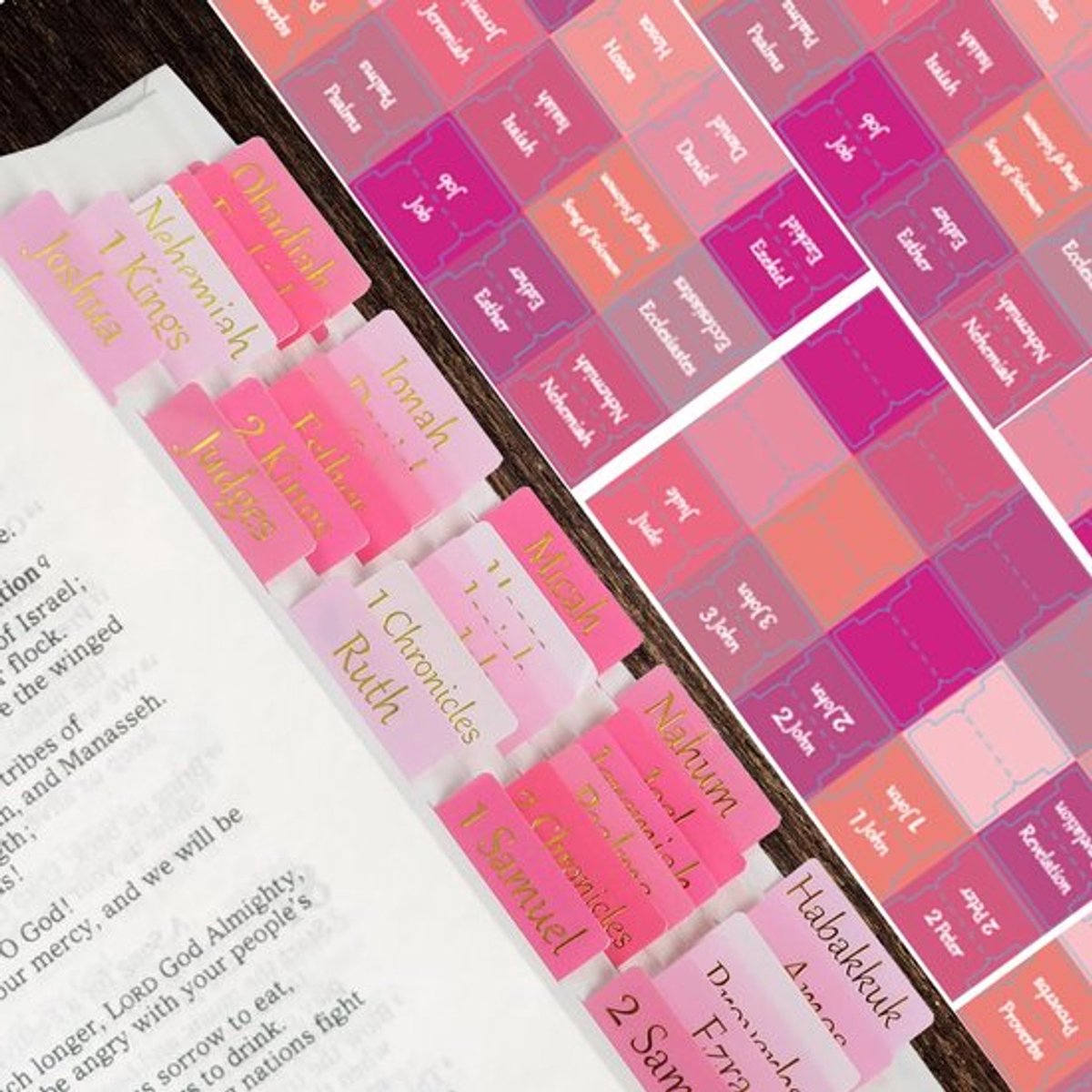 Bijbeltabs voor Vrouwen - Roze Design - Dailygoody