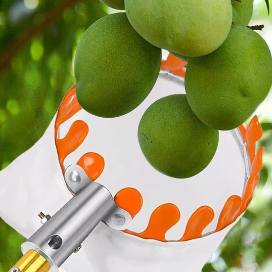 Fruit Plukker - Boom Gereedschap - Fruit Oogsten - Arbeidsbesparend Reiken - 26 x 20 x 17 cm - N.v.t. — afbeelding 4