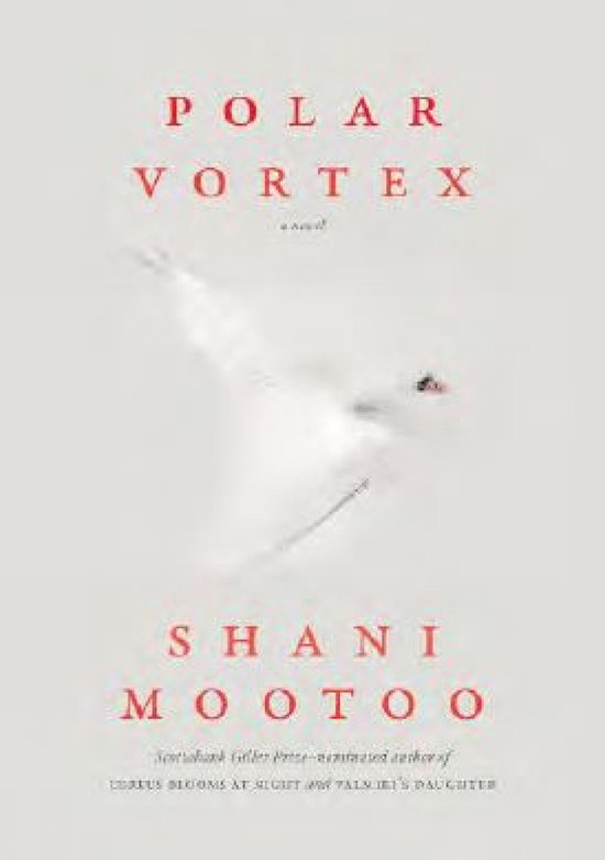 Polar Vortex - cover