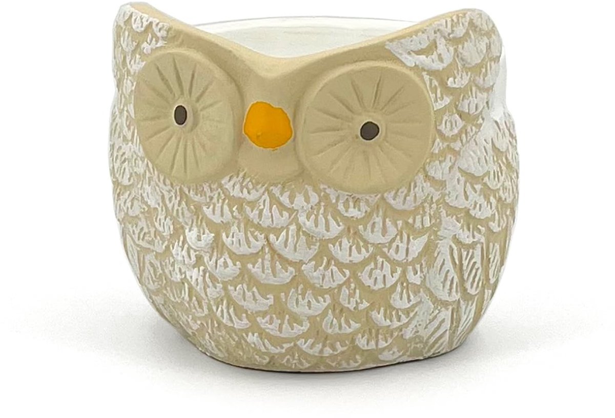 Omgoods - Handgeschilderde Terracotta Uil Pot voor Succulenten en Bloemen