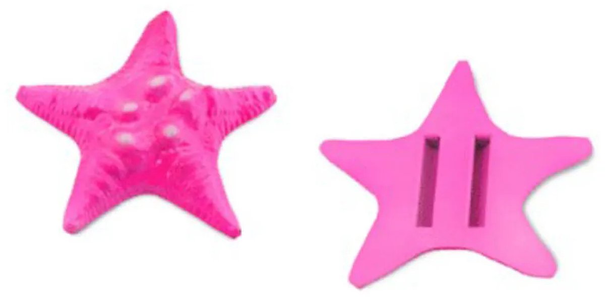 Best Divers Duiklood Zeester | Loodgewicht voor Duikgordel | 1 KG | PINK