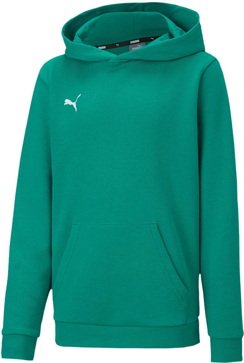 Puma teamGOAL 23 Casuals Hoody Jr Kinderen Groen