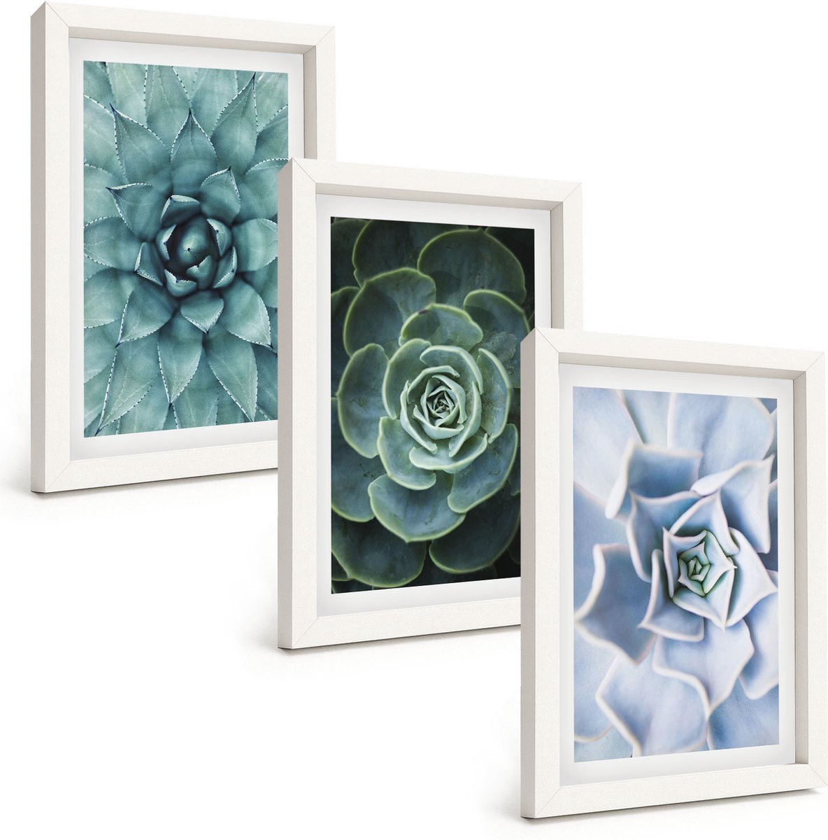 Tulup 3-Delige Schilderij Set - Vetplanten in groene en turquoise tinten. - 20x30 - Stijlvolle Muurdecoratie - Kantoor - Woonkamer Decoratie