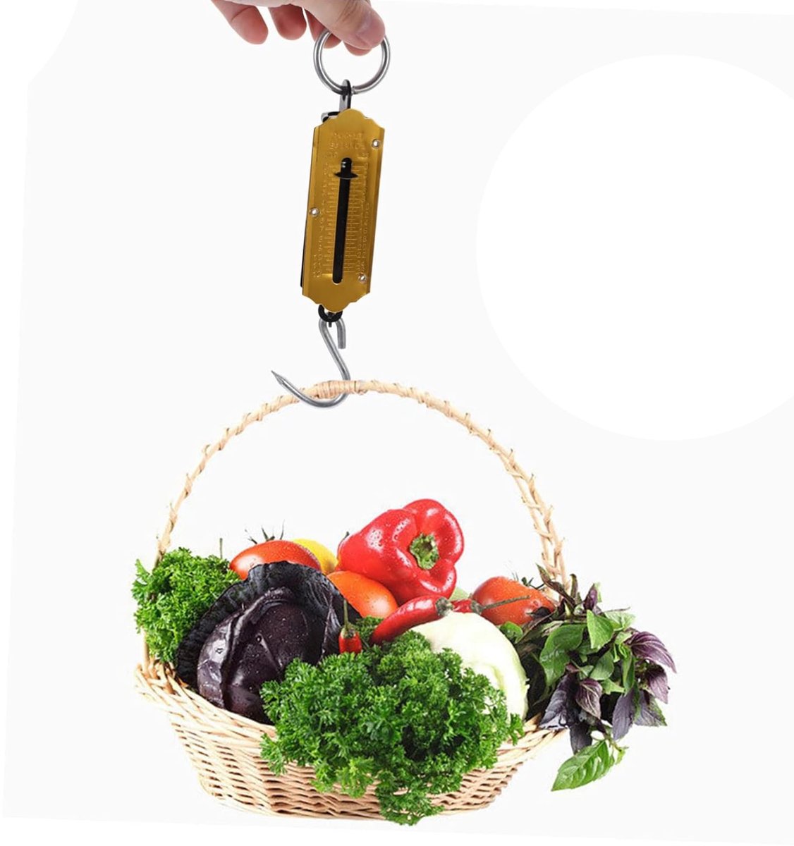 50kg Veerbalans opknoping weegbagage koffer viszak Gewicht schaal - ShopVlot