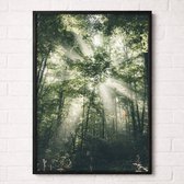 Zonnestralen in het Bos Poster - Forest Nature Collection - Natuur Posters - A2+ 43,2 x 61 cm