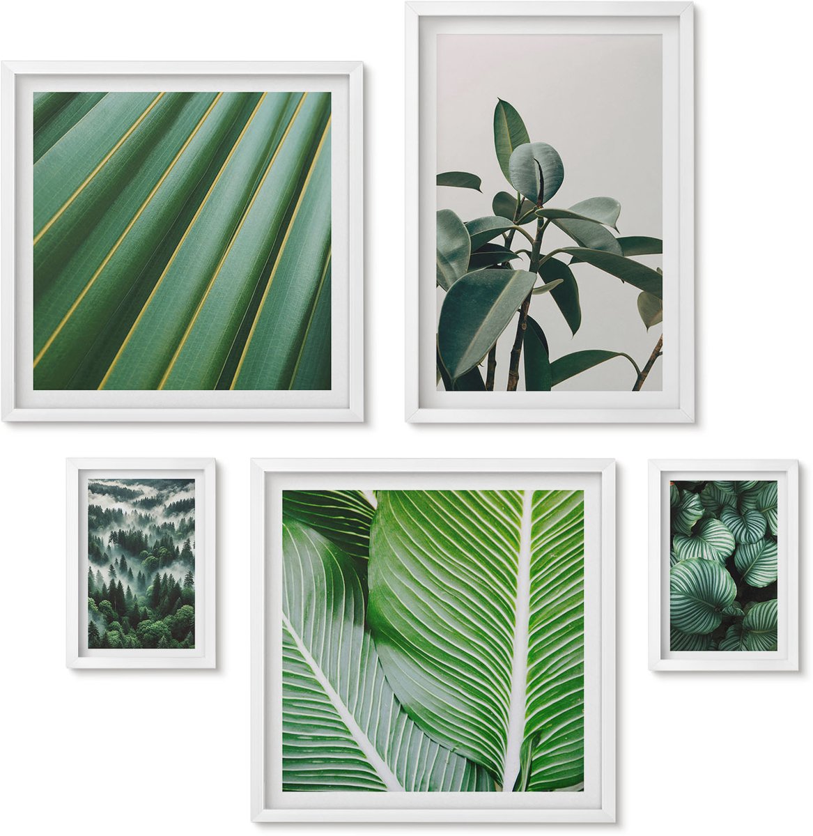 Wallfluent 5-Delige Schilderij Set - Planteninspiratie In Tropische En Natuurlijke Stijl - 50 x 50 cm, 20 x 30 cm En 40 x 60 cm - Muurdecoratie - Decoratieve Schilderijen - Wohnzimmer - Moderne Wanddecoratie