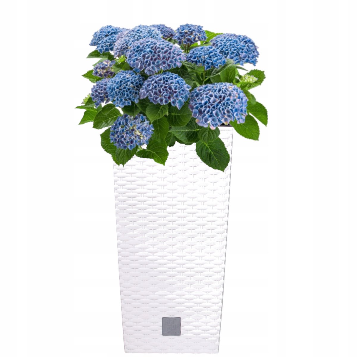 Hoge Rattan Look Pot Wit 22.5x22.5x42.1 cm met Inzet