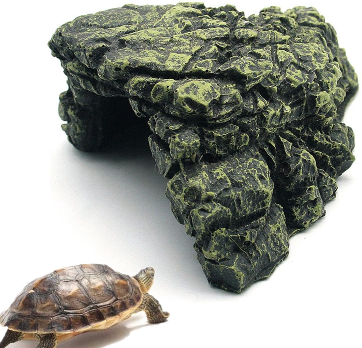 Solidchoice - Reptielenschuilplaats - Terrarium Decoratie - Milieuvriendelijk - Formaat L - Schuilplaats voor Schildpadden - Ideaal voor Kleine Hagedissen