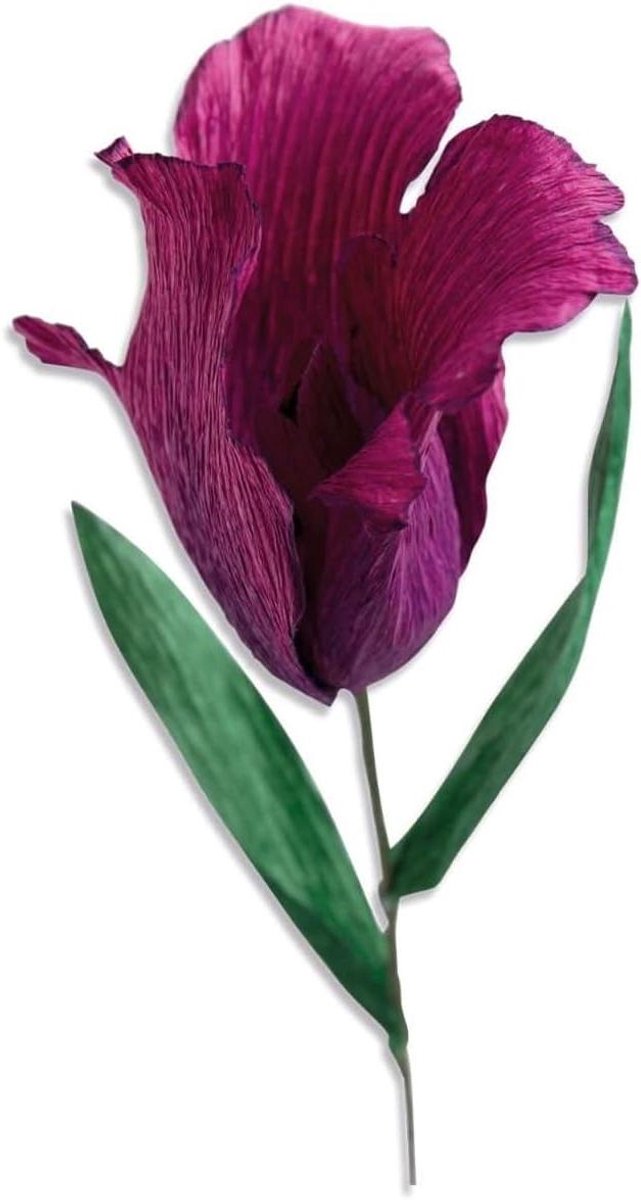 Snijmal Bloem - Bloemenmal Stans - Kaarten Maken - Met Franje Detail - 8.5 cm x 7.5 cm - Multicolor