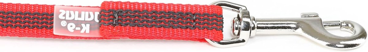 Hondenlijn met Handvat - Looplijn - Veilige Wandelingen - Slipvrij Ontwerp - 2 meter - Rood-Grijs