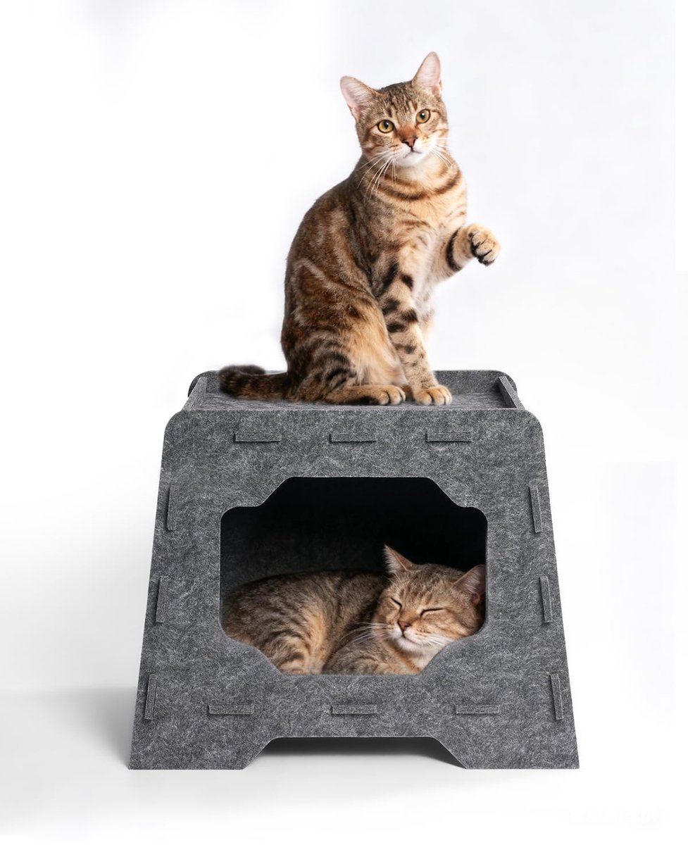 kattenmand vilt