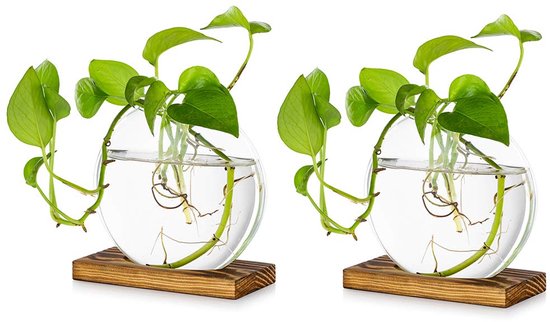 Glazen plantenbak om op te hangen voor tafel, 2 stuks, moderne vaas met houten bloemknoppen, ondersteuning voor hydrocultuurplanten, stekken