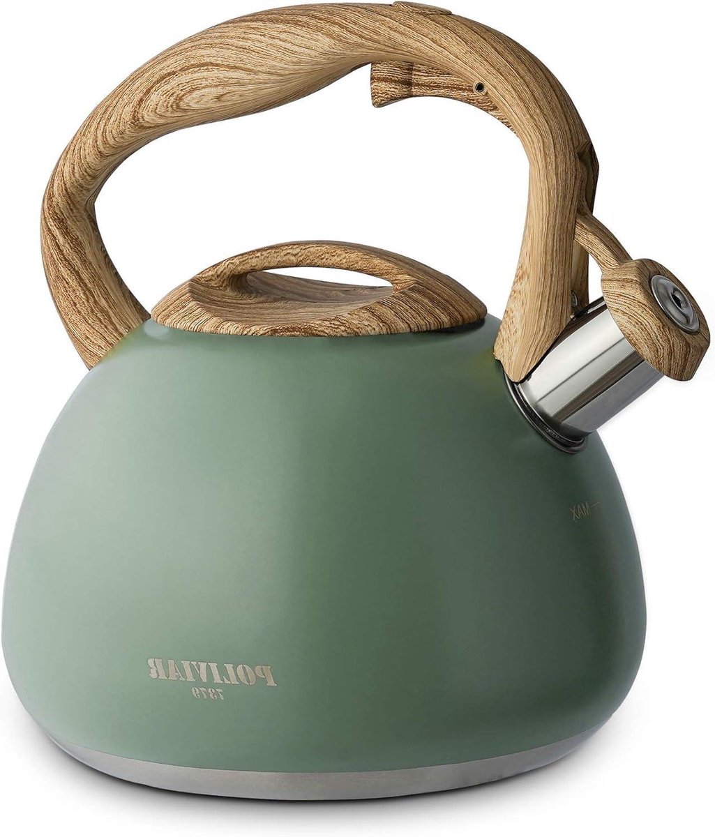 Waterkoker met Fluitje - Theeketel - Koken en Dranken - Roestvrij Staal - 2.7 Liter - Groen