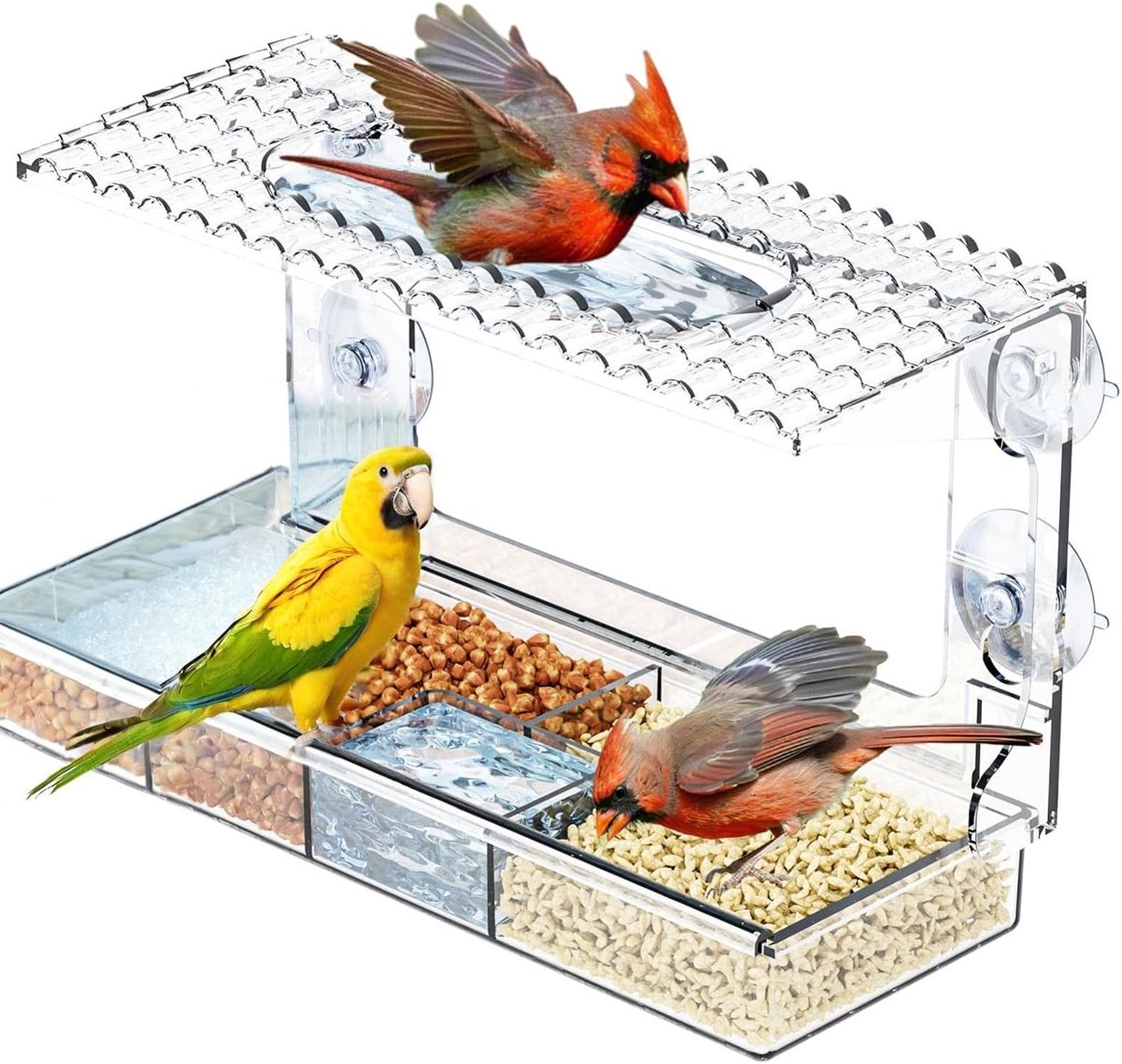 voederhuis voor vogels, transparant raam, vogelvoer, vogelvoederhuis, zuignap met zuignappen en 3 kaartsleuven, afneembare voederdispenser voor kleine wilde vogels