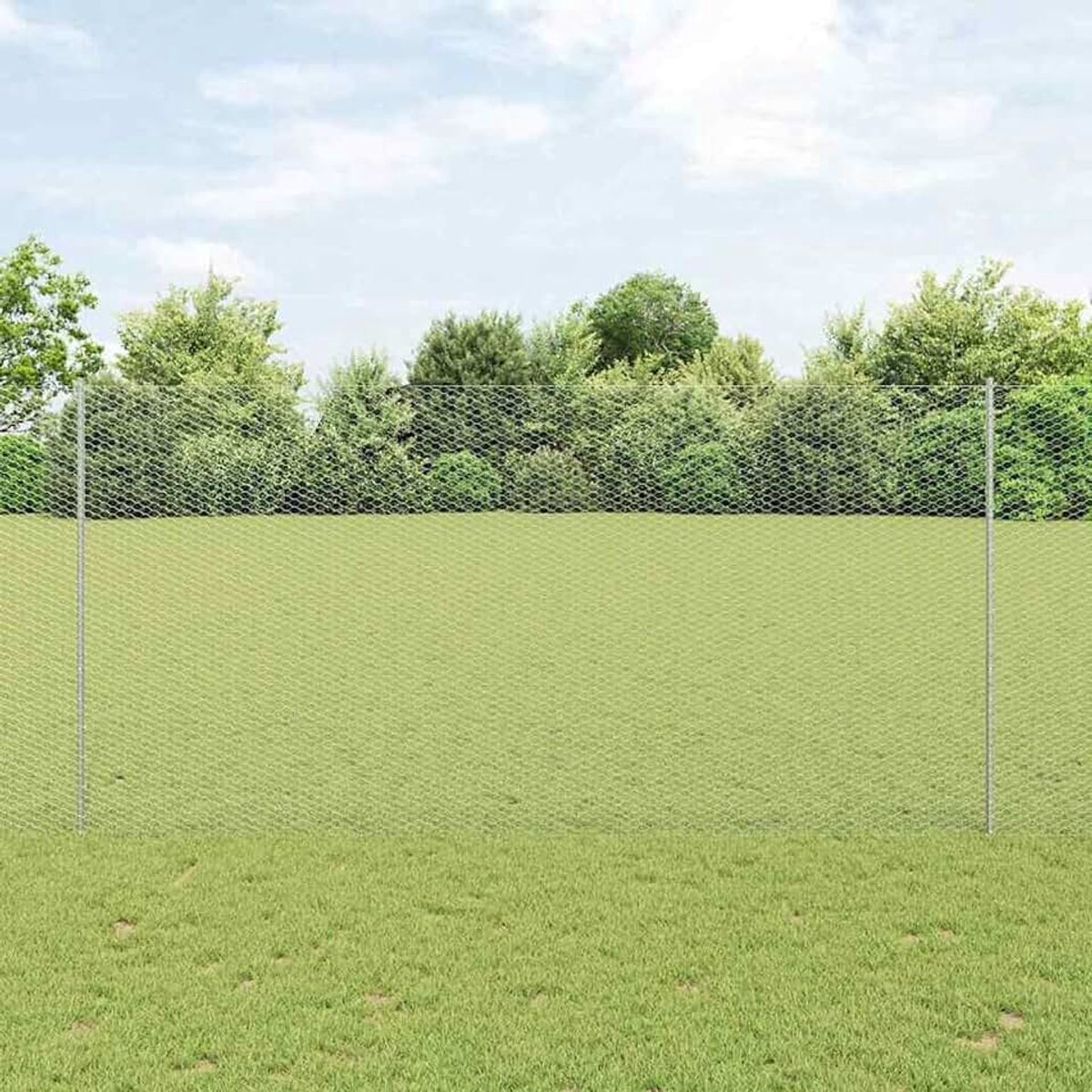 Hekpalen 22 stuks U-kanaal 160 cm verzinkt staal, zeshoekig hek 1,6 x 25 m, tuinhekken draadomheining voor hekken, groentebedden, kippenren weideperceel 3337016
