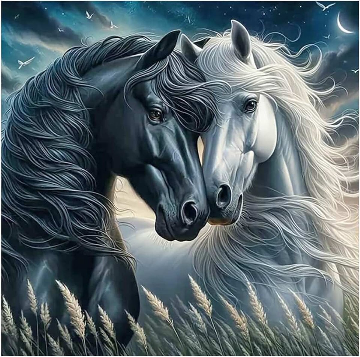 Doe-het-zelf Diamond Painting paarden, 40 x 40 cm, schilderen op nummer, paarden, 5D, diamond painting, schilderij, paard, stickers, diamond painting paard, zwart, wit, borduurafbeeldingen,