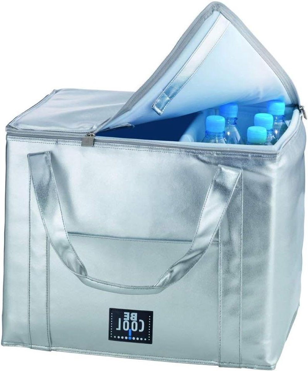Grote Koelbox - Zilveren Box - Eten Koel Houden - Recyclebaar Materiaal - 45 Liter - Zilver