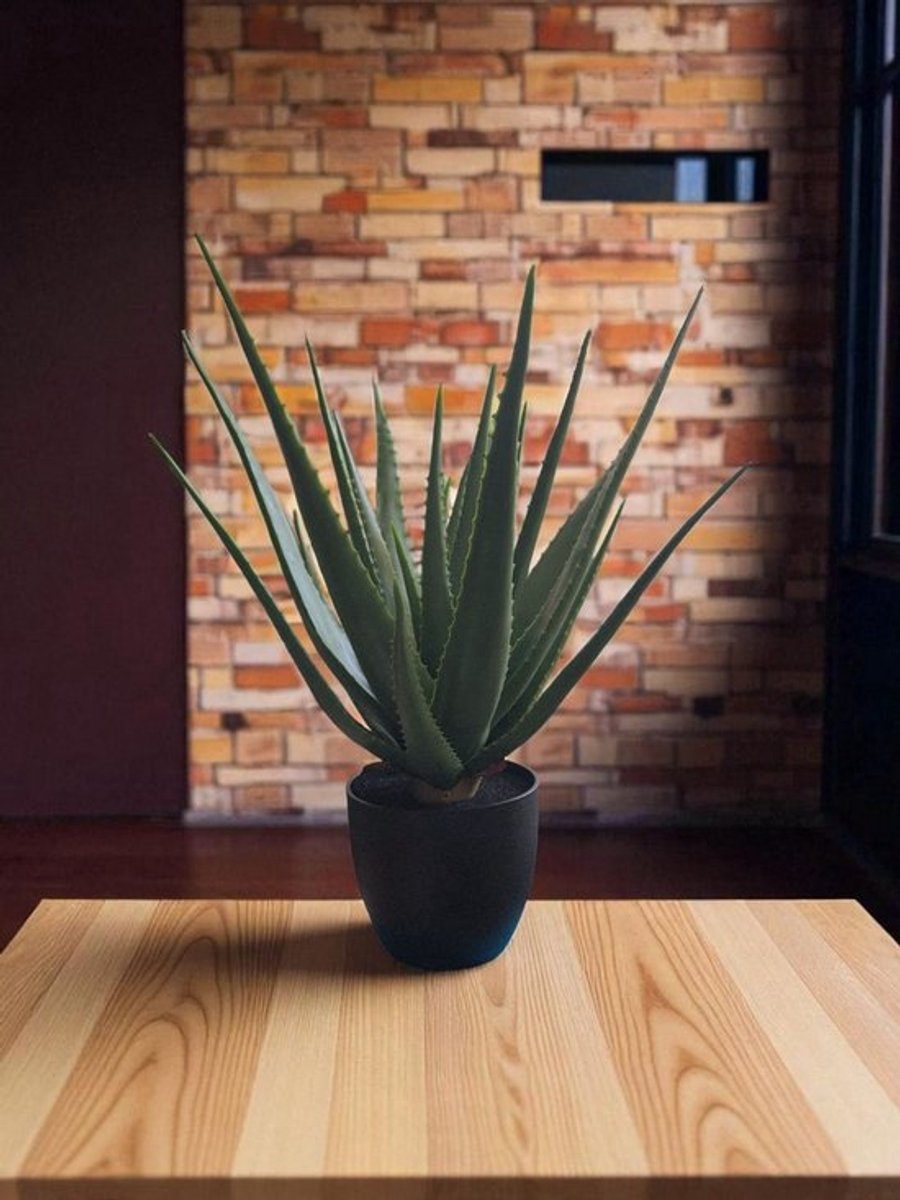 Flora Aloë Vera - kunstplant - zware kwaliteit - 67 cm hoog- plant met pot groen met zwarte pot