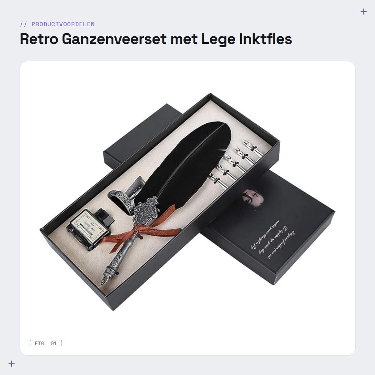 Dailygoods- ganzenveerset Retro Stijl - Legeringsveerschrift - Cadeau voor Vrienden - Roestvrijstalen Penpunt - Comfortabele Grip - Fijn Vervaardigde Veren - Schrijfpakket