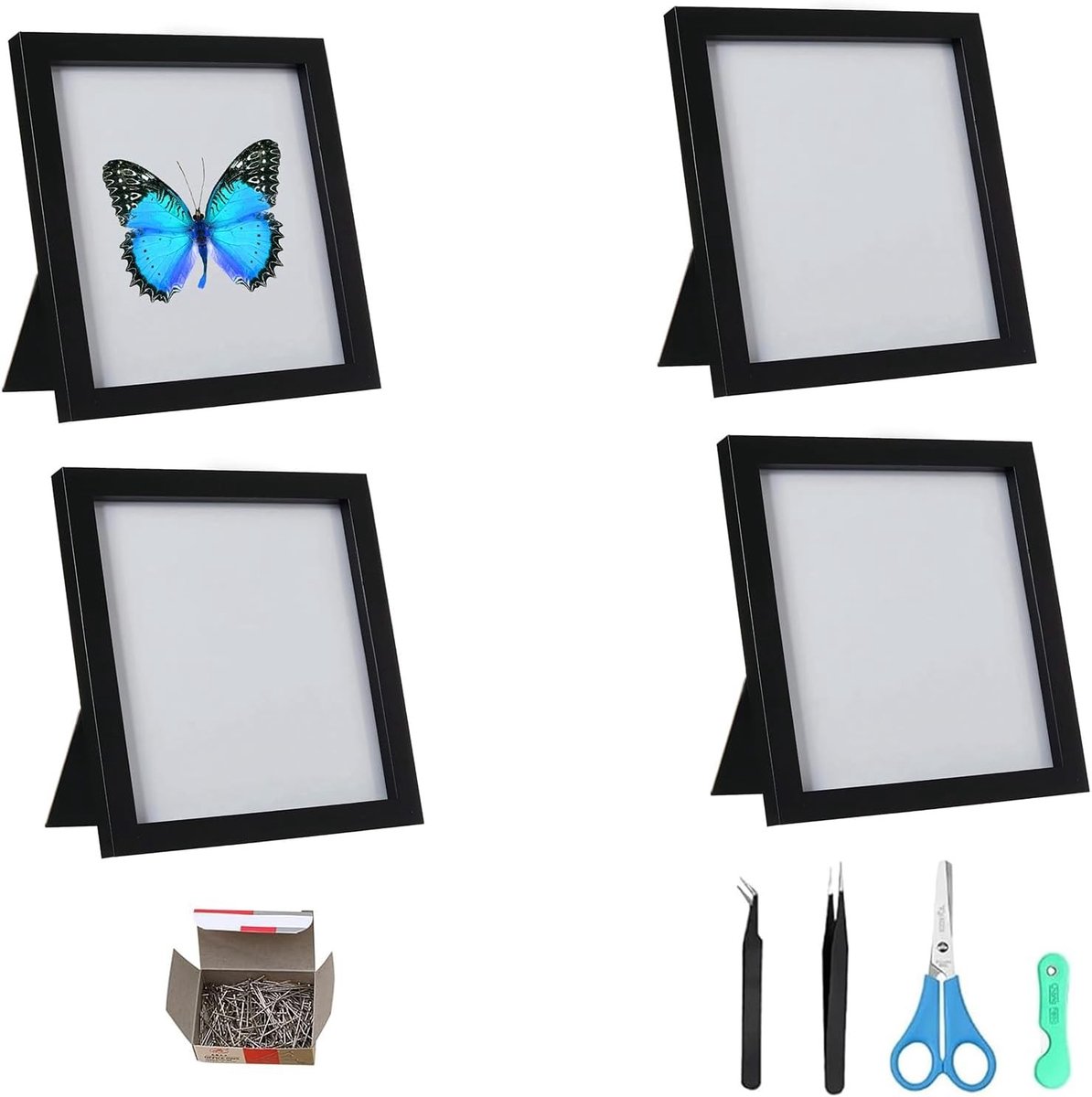 Insecten tentoonstellingsdoos voor wandmontage, 4-delige set met EVA-schuimplaten, ideaal voor vlinders, insecten en verzamelobjecten, 15 x 15 cm