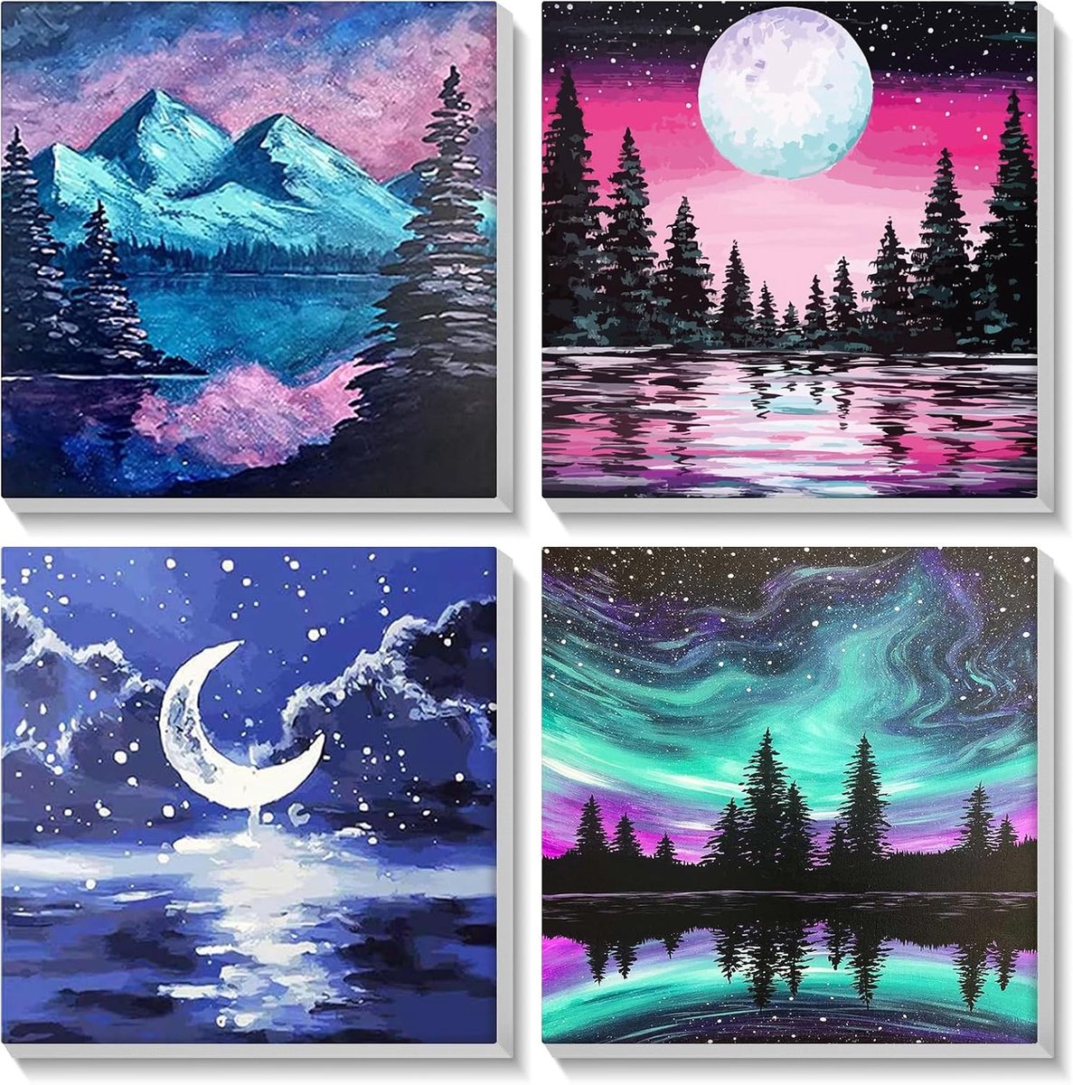 SnelShoppen - 4 Pack Schilderen op Nummer met Lijst, DIY Handgeschilderde Olieverf Set voor Volwassenen en Kinderen, Creatieve Decoratie 20x20cm