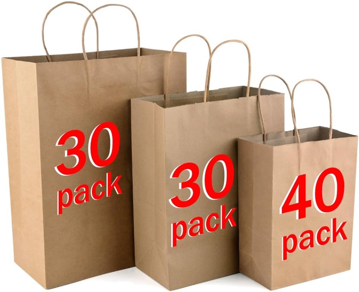 SnelShoppen - Paper Bags 100 Stuks Kraft Papieren Tassen met Handvat, Bruine Cadeautassen voor Kinderen, Verjaardagen, Feestjes, Huwelijk, Drie Maten,