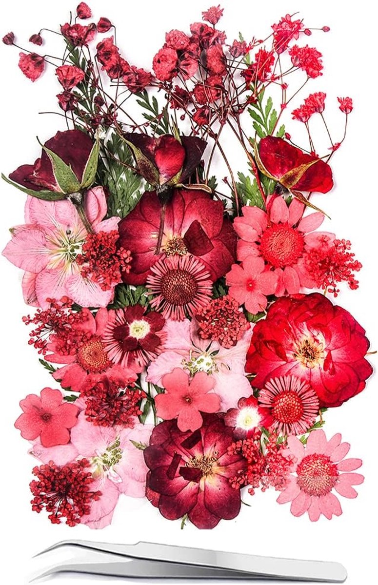 SnelShoppen - 15 soorten rode gedroogde geperste bloemen voor harsvormen, 37 stuks natuurlijke bloemen voor DIY kunstambachten, kaarsen, nageldecorati