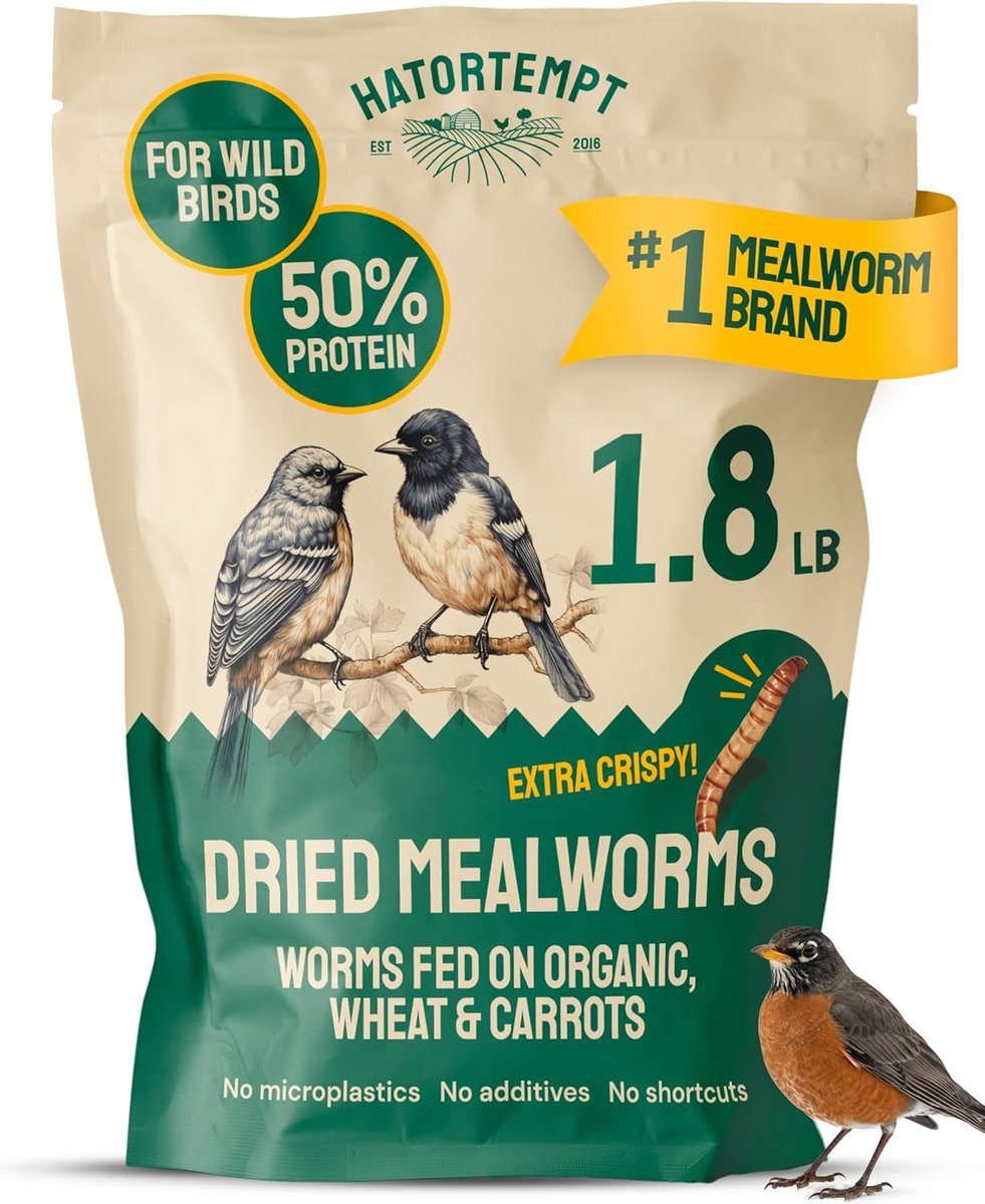 SnelShoppen - Gedroogde Meelwormen voor Wilde Vogels - 0.8kg Zak - Hoog Eiwit Voer voor Blauwe Vogels, Roodborstjes en Kippen - Atraheer Meer Soorten