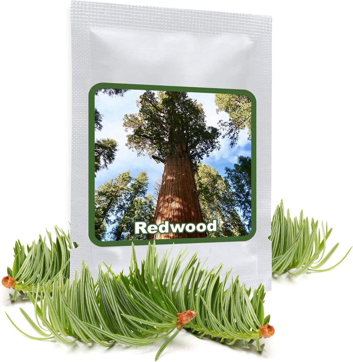 SnelShoppen - Mammoth Boom Zaden (25 Stuks) Sequoiadendron giganteum | Indrukwekkende Primaire Boom voor de Tuin - Zeer Langlevend & Sterk