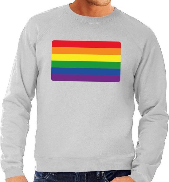 Gay pride regenboog vlag sweater grijs - sweater voor heren - S | bol.com