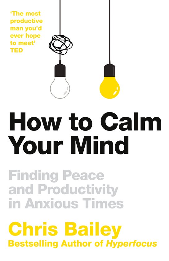 Boekomslag met de titel 'How to Calm Your Mind', met twee gloeilampen en citaten.
