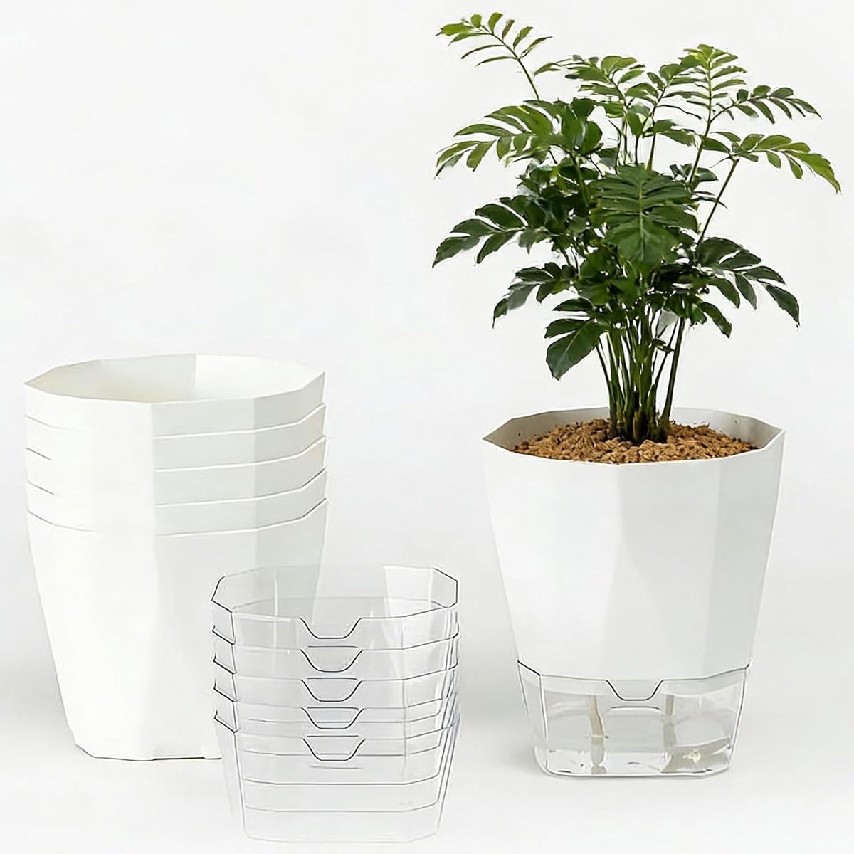 Set van 6 Watergeefpotten voor Kruidengroei - Diameter 12,5 cm, Hoogte 13,5 cm - Ideaal voor Balkon, Keuken en Binnengebruik